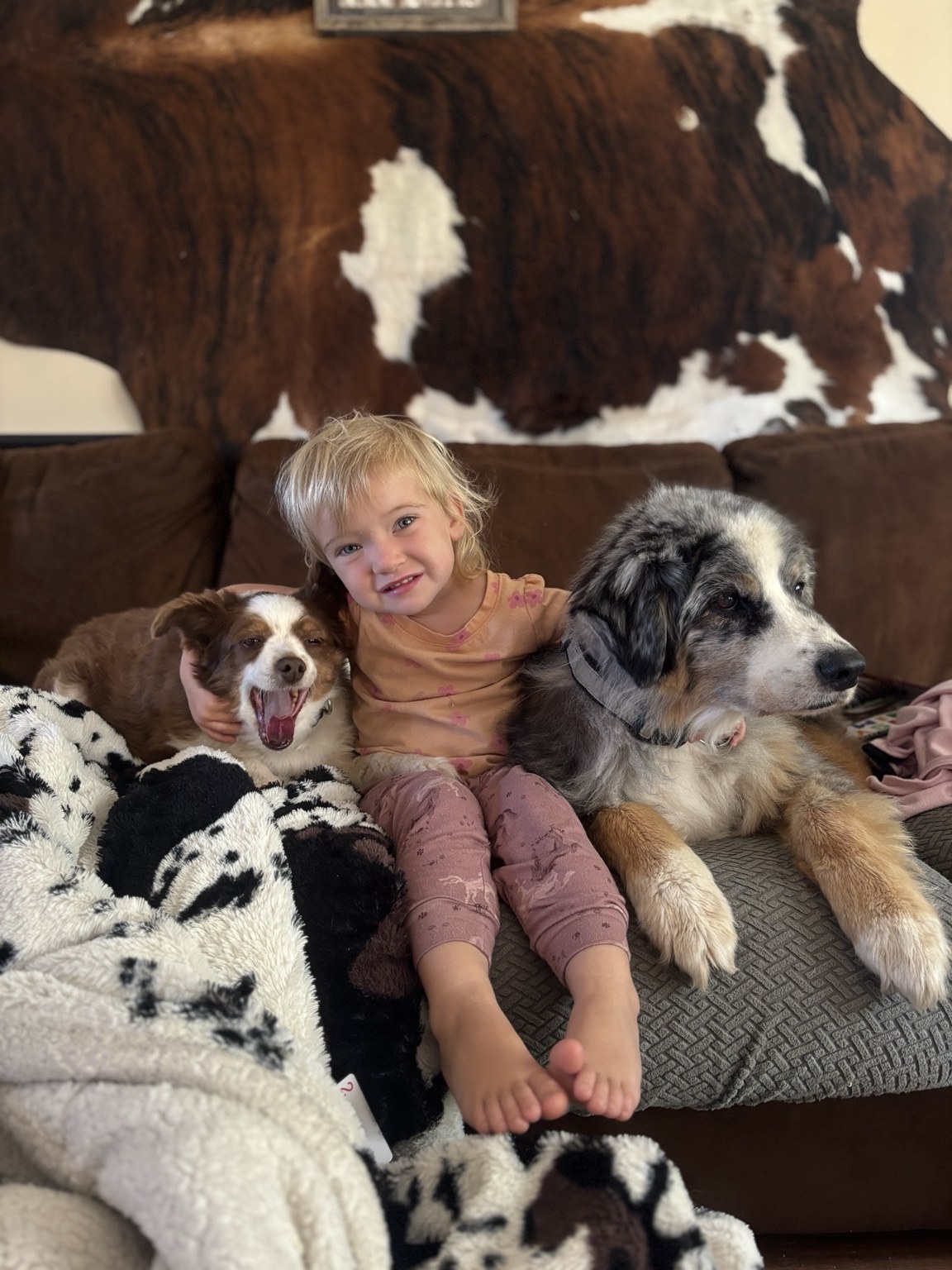A child spending time with dogs