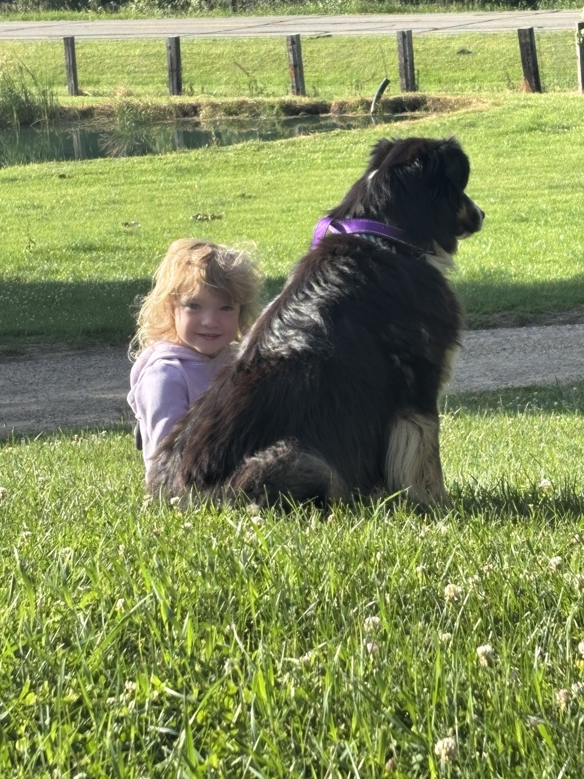 A child sitting beside a large dog on the lawn