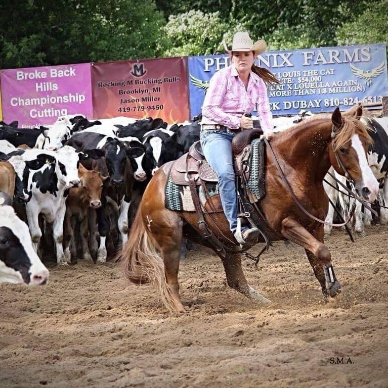 Western rider on a chestnut horse working near cattle